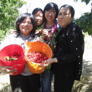 Luat yeu thuong
